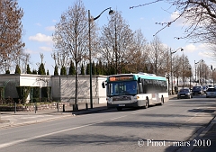 234_P1150731
