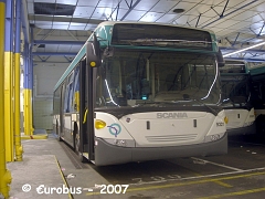 scania_48